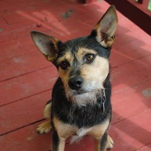 Meet your Posher, Paul